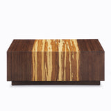 Azara Cube Rectangular Coffee Table