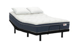 Concept ZZZ 900 Level Firm Series by Serta